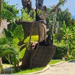 Photo taken by Amy M