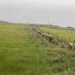 Photo taken by Tina D