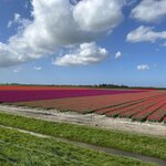 Photo taken by Jennifer D