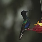 Photo taken by Marcia G