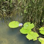 Photo taken by Christopher F