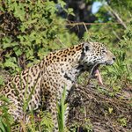 Photo taken by Kelvin V