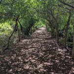 Photo taken by mimi s