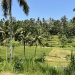 Photo taken by Valentina M