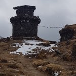 Photo taken by Amy S