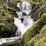 Photo taken by Danielle P