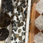 Photo taken by Logan J