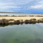 Photo taken by Bailey R