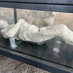 Photo taken by Robert H