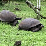 Photo taken by Richard P