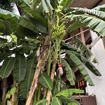 Photo taken by Harshida P