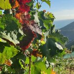 Photo taken by Lauri F