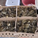 Photo taken by Peter J