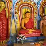 Photo taken by Sylvanna C