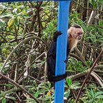 Photo taken by David G