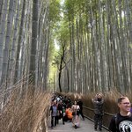 Photo taken by Adrian D