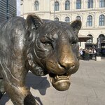 Photo taken by Kevin H