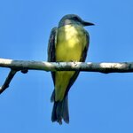 Photo taken by Ben B