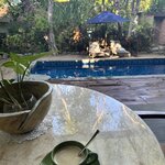 Photo taken by Saima L