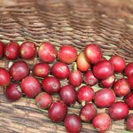 Photo taken by Erika P