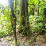 Photo taken by Darla D