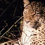 Photo taken by rhonda c