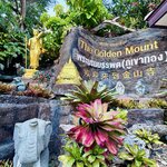 Photo taken by Nicole S