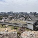 Photo taken by Reynaldo M