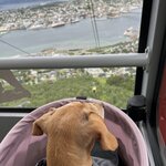 Photo taken by Krissy S