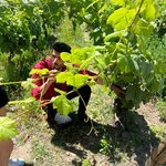 Photo taken by Doug P