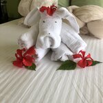 Photo taken by ted m