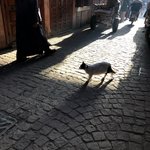 Photo taken by Anda P