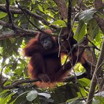 Photo taken by Judith D