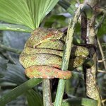 Photo taken by Marc A