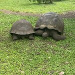 Photo taken by Thomas L