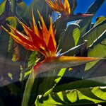 Photo taken by Lisa C