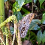 Photo taken by Jeffrey B