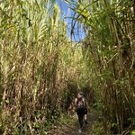 Hike to the outlook point | Photo taken by Anita L