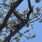 Photo taken by Bonnie Y