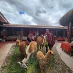 Photo taken by Alexandria T