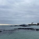 Photo taken by Kayla H