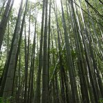 Photo taken by Jason P