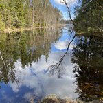 Photo taken by Marsha W