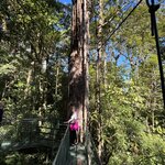 Photo taken by Darcy M