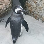 Photo taken by Crystall P