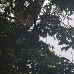 Photo taken by Darla D