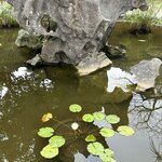 Photo taken by Susan R