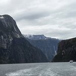 Photo taken by Iris W