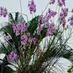 Photo taken by Brett F