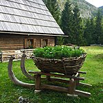 Photo taken by Dianne W